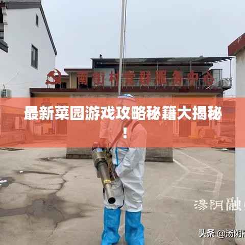 最新菜园游戏攻略秘籍大揭秘！