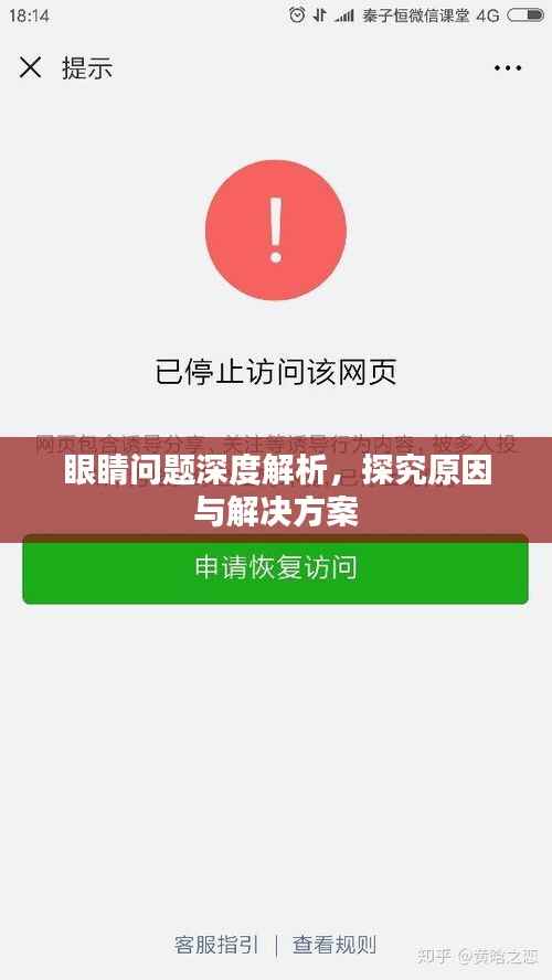 眼睛问题深度解析，探究原因与解决方案