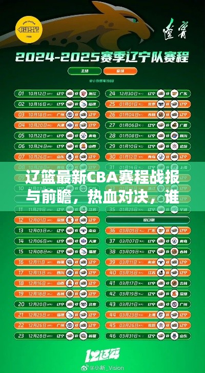 辽篮最新CBA赛程战报与前瞻，热血对决，谁将胜出？