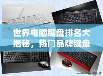 世界电脑键盘排名大揭秘,热门品牌键盘对比与评测