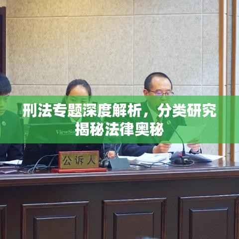 刑法专题深度解析，分类研究揭秘法律奥秘