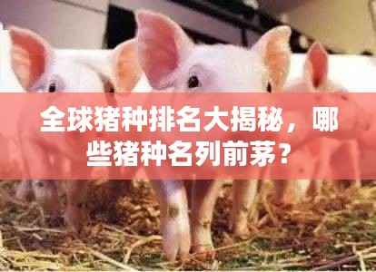全球猪种排名大揭秘，哪些猪种名列前茅？