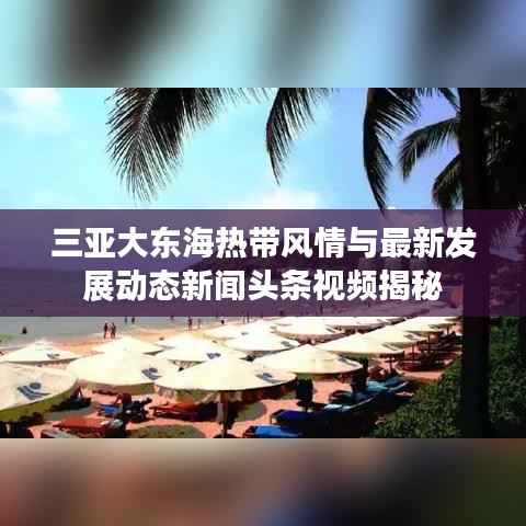 三亚大东海热带风情与最新发展动态新闻头条视频揭秘