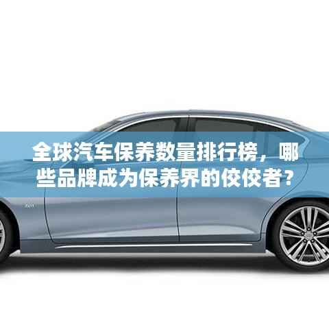 全球汽车保养数量排行榜，哪些品牌成为保养界的佼佼者？