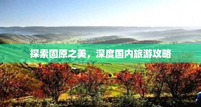 探索固原之美，深度国内旅游攻略