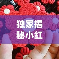 司空见惯 第4页