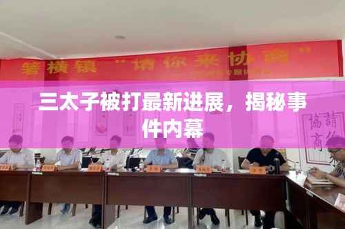 三太子被打最新进展，揭秘事件内幕