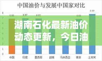 湖南石化最新油价动态更新,今日油价走势分析