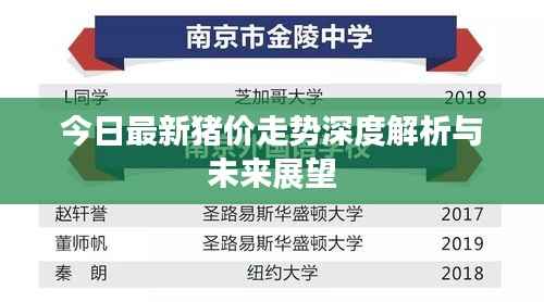 今日最新猪价走势深度解析与未来展望