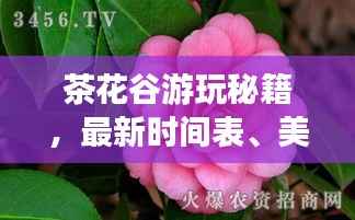 惊弦之鸟 第4页