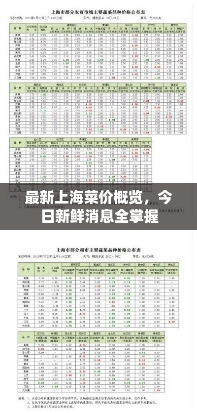最新上海菜价概览，今日新鲜消息全掌握