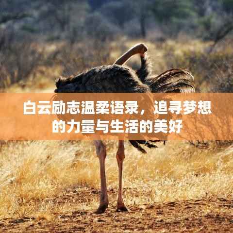 白云励志温柔语录，追寻梦想的力量与生活的美好