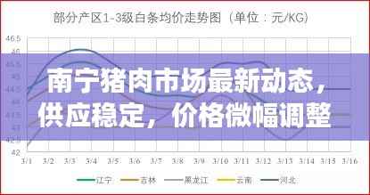 南宁猪肉市场最新动态，供应稳定，价格微幅调整