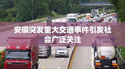 尽心尽力 第3页