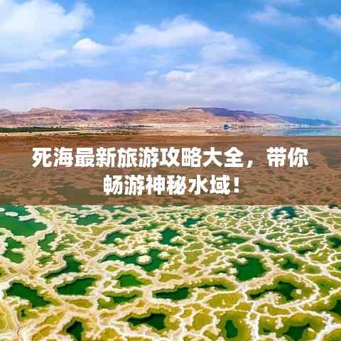 死海最新旅游攻略大全,带你畅游神秘水域!