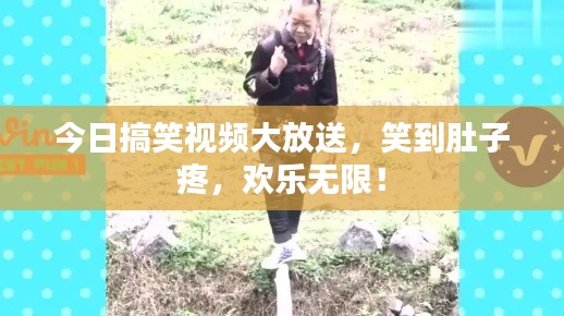 今日搞笑视频大放送，笑到肚子疼，欢乐无限！