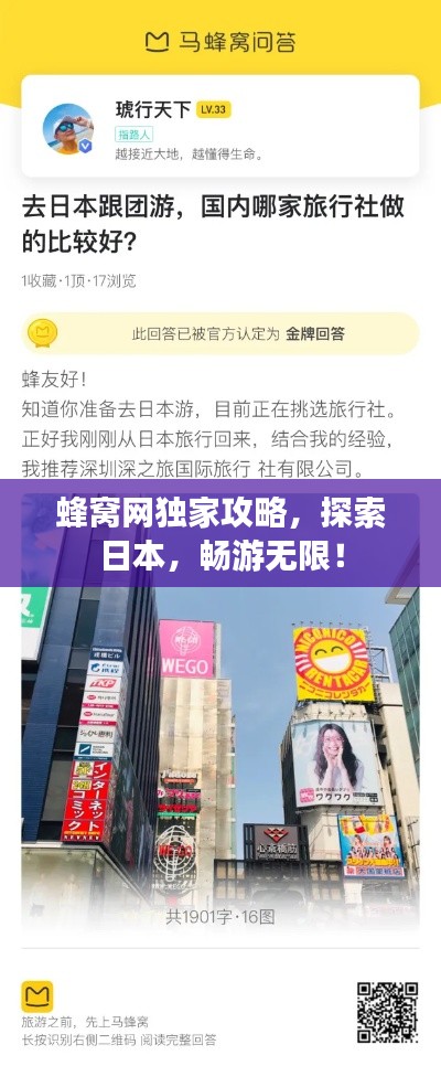 蜂窝网独家攻略,探索日本,畅游无限!