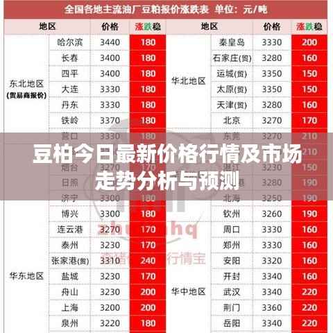 豆柏今日最新价格行情及市场走势分析与预测