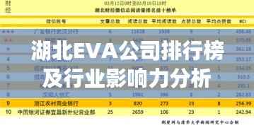湖北EVA公司排行榜及行业影响力分析