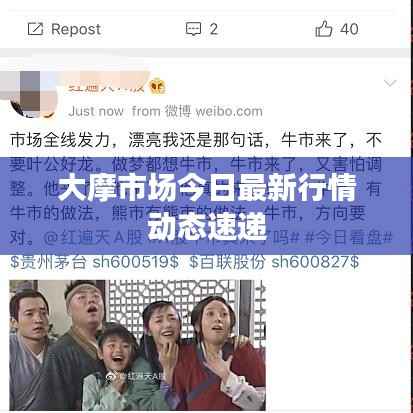 大摩市场今日最新行情动态速递