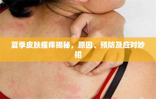 夏季皮肤瘙痒揭秘，原因、预防及应对妙招