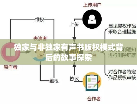 独家与非独家有声书版权模式背后的故事探索
