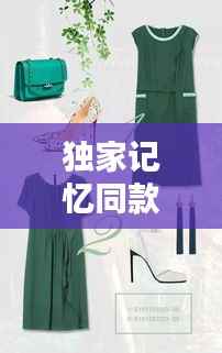 独家记忆同款短袖，时尚潮流中的独特印记，引领夏日潮流新风尚！