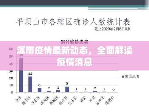 浑南疫情最新动态，全面解读疫情消息
