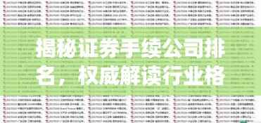 揭秘证券手续公司排名，权威解读行业格局！