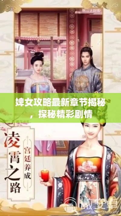 婢女攻略最新章节揭秘，探秘精彩剧情