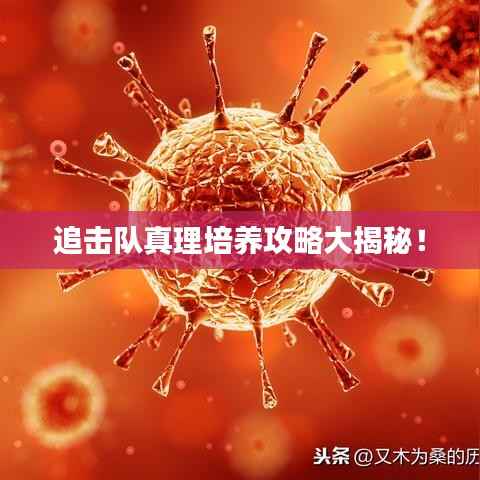 追击队真理培养攻略大揭秘！