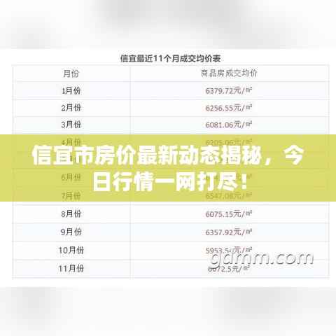 信宜市房价最新动态揭秘，今日行情一网打尽！