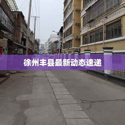 蛙鸣蝉噪 第4页