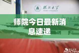 贵险贱璧 第4页