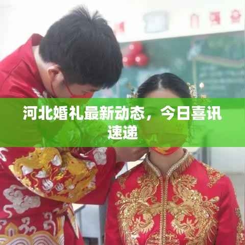 河北婚礼最新动态,今日喜讯速递
