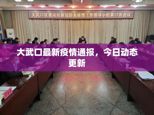 大武口最新疫情通报，今日动态更新