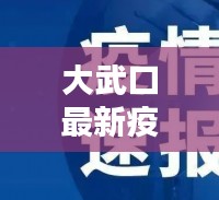 大武口最新疫情通报,今日动态更新