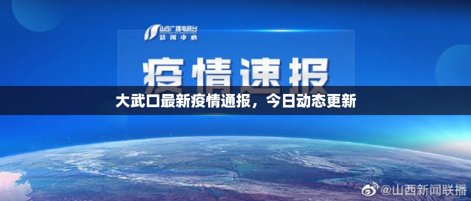 大武口最新疫情通报,今日动态更新
