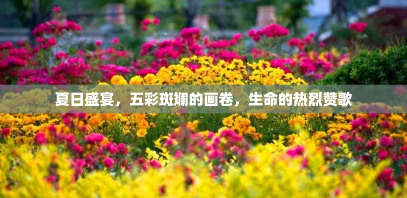 夏日盛宴，五彩斑斓的画卷，生命的热烈赞歌