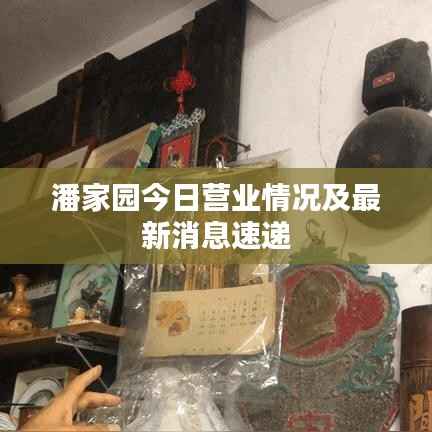 潘家园今日营业情况及最新消息速递