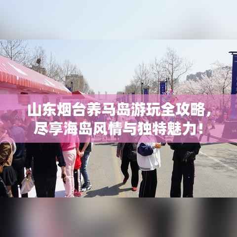 山东烟台养马岛游玩全攻略，尽享海岛风情与独特魅力！