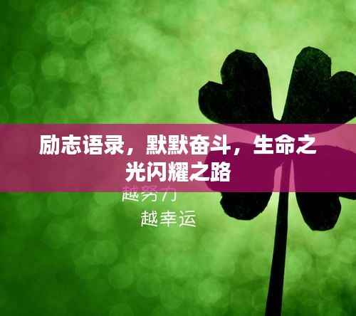 励志语录，默默奋斗，生命之光闪耀之路