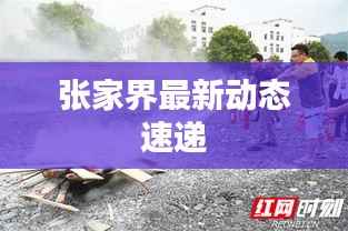 张家界最新动态速递