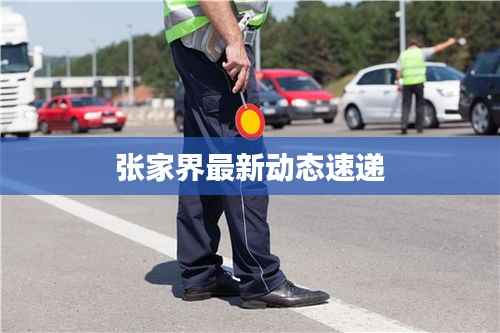 张家界最新动态速递