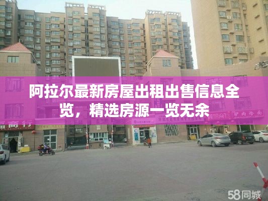 阿拉尔最新房屋出租出售信息全览，精选房源一览无余