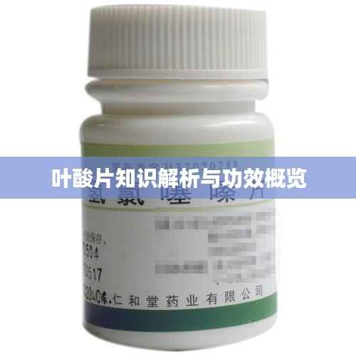 叶酸片知识解析与功效概览