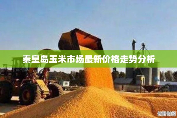 秦皇岛玉米市场最新价格走势分析