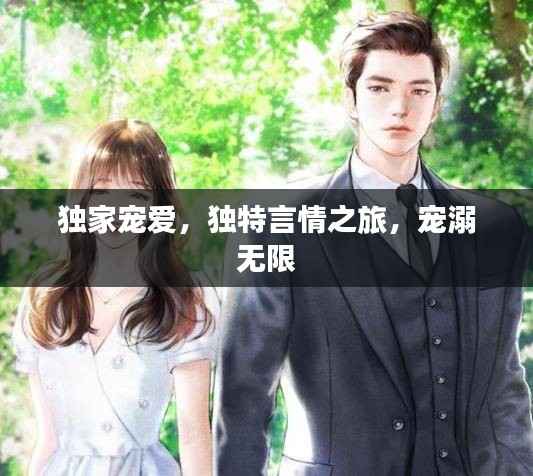 独家宠爱，独特言情之旅，宠溺无限