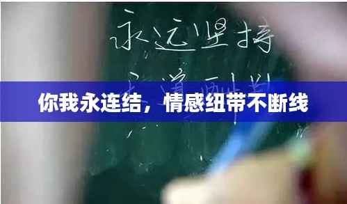 你我永连结，情感纽带不断线