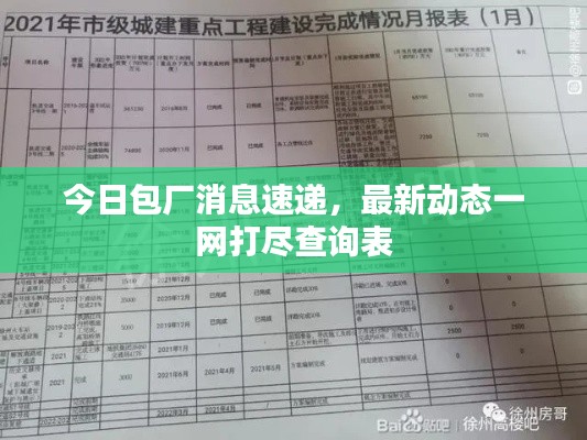今日包厂消息速递，最新动态一网打尽查询表